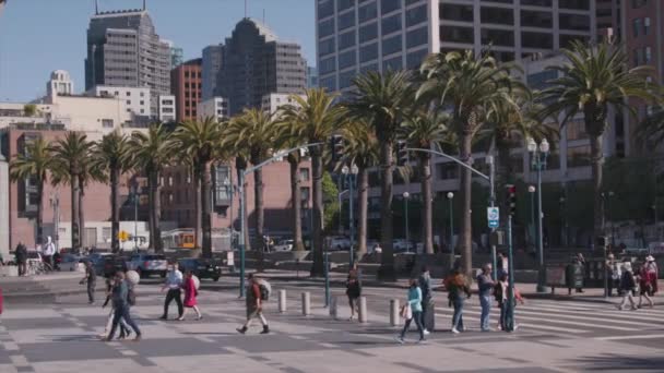 San Francisco Par Ferry Building — Video