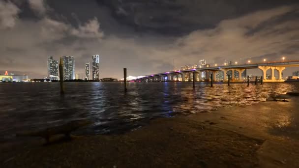 Nachtelijk Verval Van Miami City Florida Usa Met Macarthur Causeway — Stockvideo