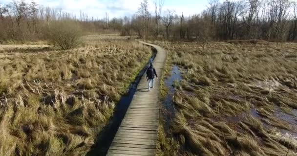 Veduta Aerea Ragazzo Che Cammina Solo Sentiero Legno Prato Autunno — Video Stock