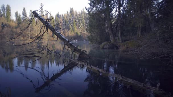 Горное Озеро Crestasee Flims Швейцария Время Дождя — стоковое видео