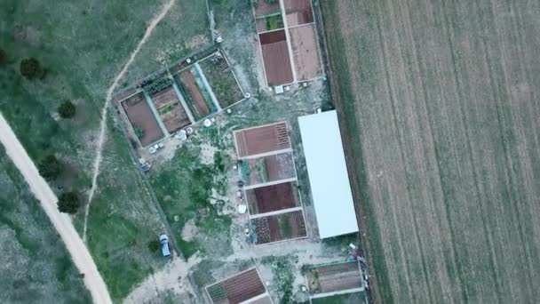 Frutteto Campagna Drone Vista — Video Stock