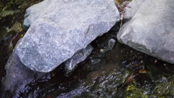 位于塞浦路斯普拉特的卡利多尼亚瀑布的自来水 — 图库视频影像