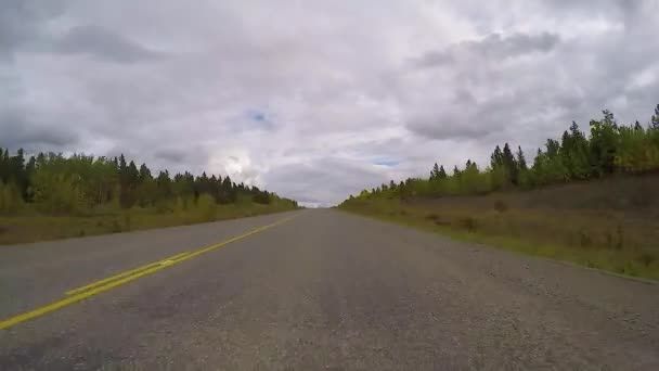 Alaska Highway Med Gopro — Stockvideo