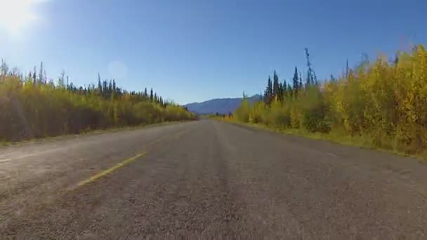 Alaska Highway Pro View — Stok Video