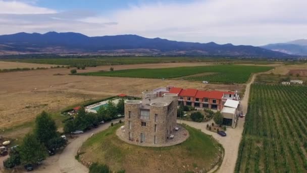 Art Antenne Inhalt Kleines Schloss Auf Einem Hügel Umgeben Von — Stockvideo