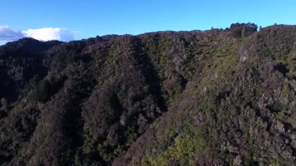 Luchtbeelden Van Heuvelachtig Nieuw Zeelandse Landbouwgrond — Stockvideo