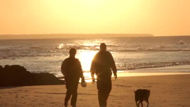 People Walking Australian Beach Golden Hour — Stock Video