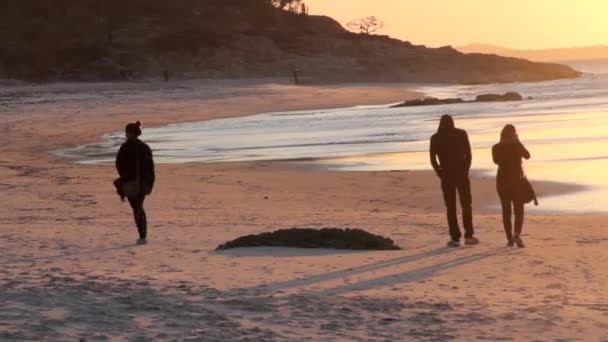 Una Coppia Che Passeggia Con Cane Una Spiaggia Australiana Durante — Video Stock