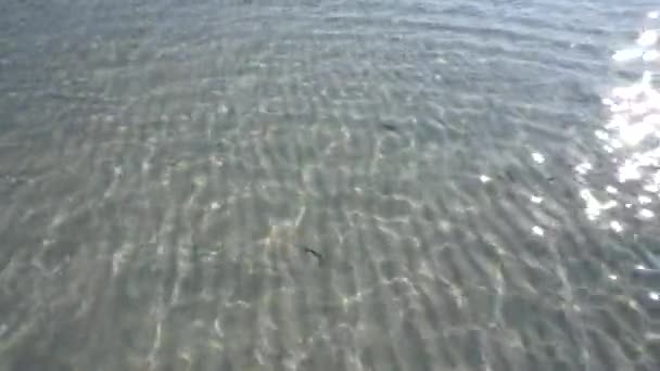 Kleine Golven Ondiep Water Bij Het Strand — Stockvideo