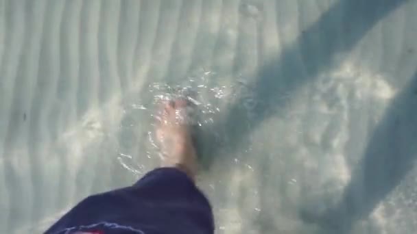 Manlig Vandring Grunt Havsvatten Vid Stranden — Stockvideo