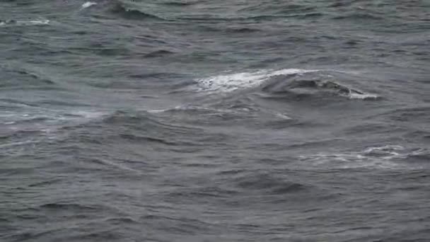 Wellen Einem Windigen Bewölkten Tag — Stockvideo