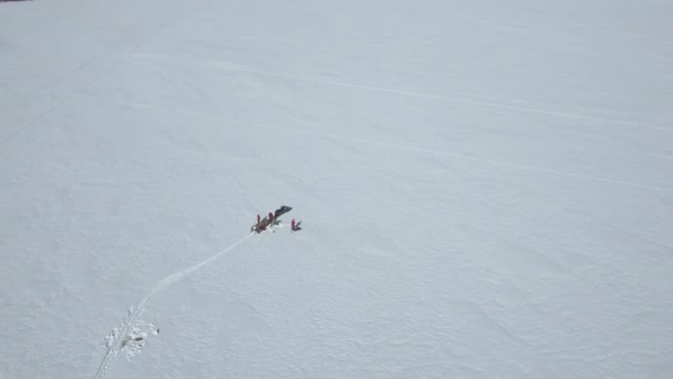 Прекрасная Река Торнио Финляндии Швеции Зимой Проезжают Снегоходы Люди Ловят — стоковое видео