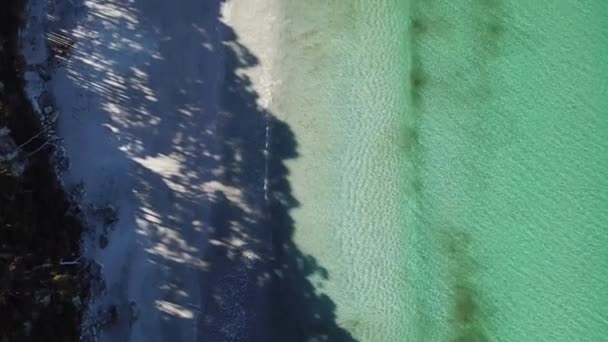 白い砂でオーストラリアのビーチの上のトップダウンドローン — ストック動画