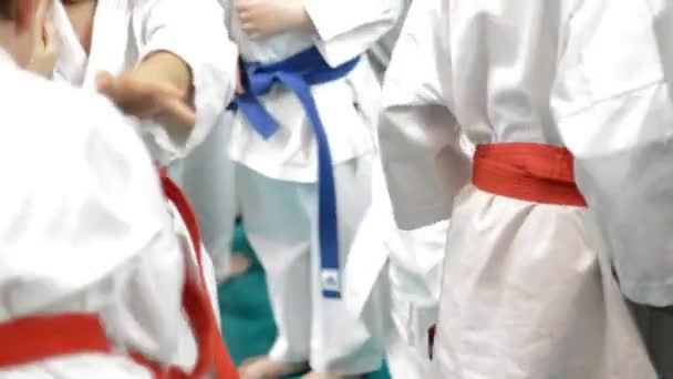 Acercamiento Cinturones Rojos Cinturones Azules Que Practican Artes Marciales — Vídeo de stock