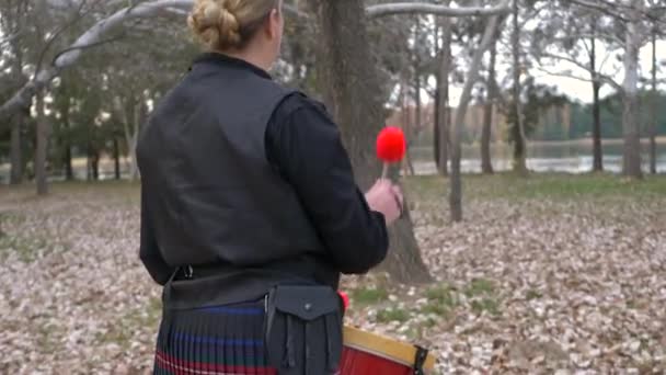 Bir Sonbahar Günü Parkta Tenor Davul Çalarken Bando Üyesi Bir — Stok video