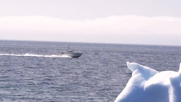 Boat Moving Floating Iceberg Ocean Greenland Slow Motion — Stok Video