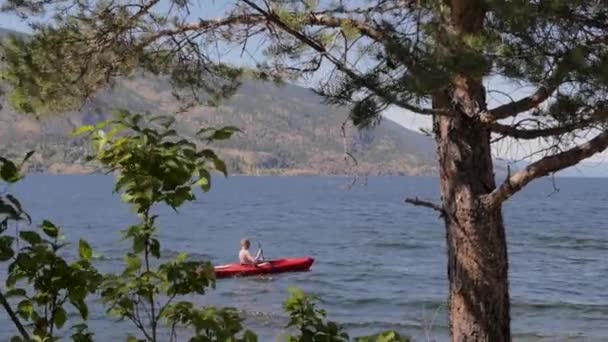 Slow Motion Man Kajakpaddling Lake Tree Och Bush — Stockvideo