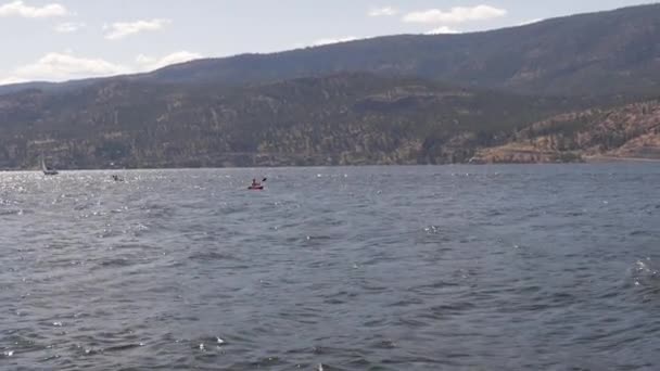スローモーション遠くから夏に湖でカヤック2人の男性 — ストック動画