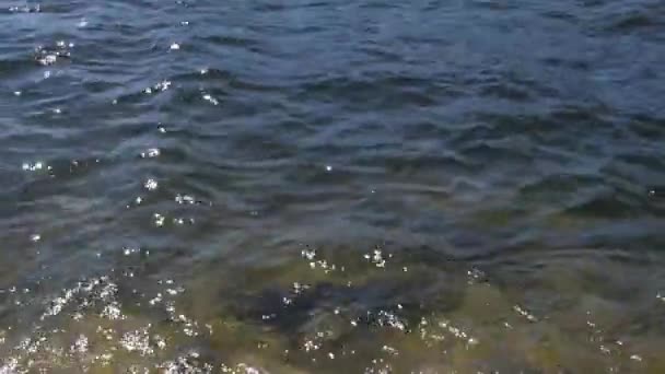 Cámara Cámara Lenta Panorámica Costa Dos Hombres Navegando Kayak Lago — Vídeo de stock