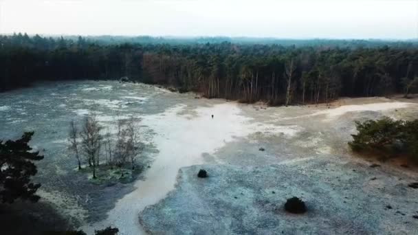 Sabahın Erken Saatlerinde Koşmak Atışları — Stok video