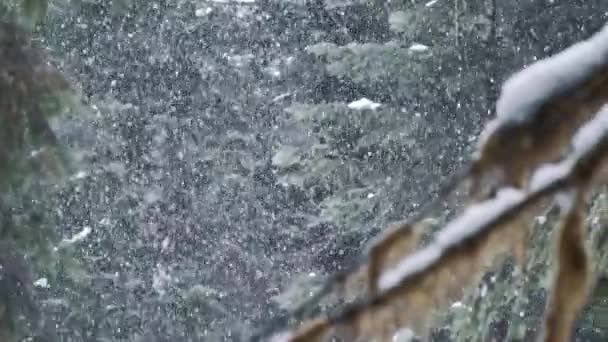Neve Che Cade Lentamente Sulle Montagne Dello Stato Washington — Video Stock