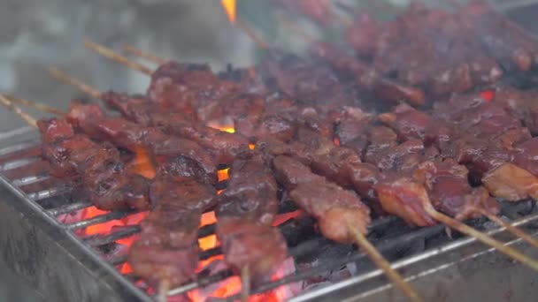 用火焰把肉串在烤架上 — 图库视频影像