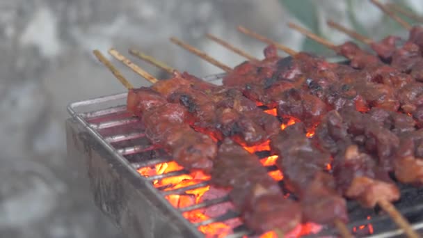 Nær Kjøtt Spidd Grillen – stockvideo