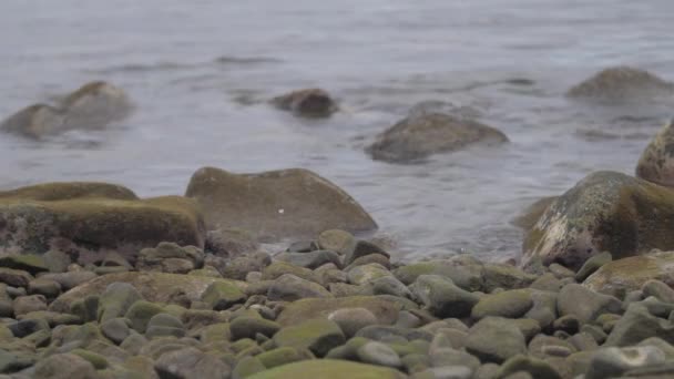 Enfoque Tire Cerca Tiro Rocas Orilla — Vídeo de stock