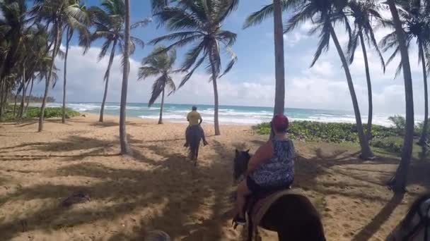 Vista Uma Praia Dominicana Capturada Gopro Passeio Cavalo — Vídeo de Stock