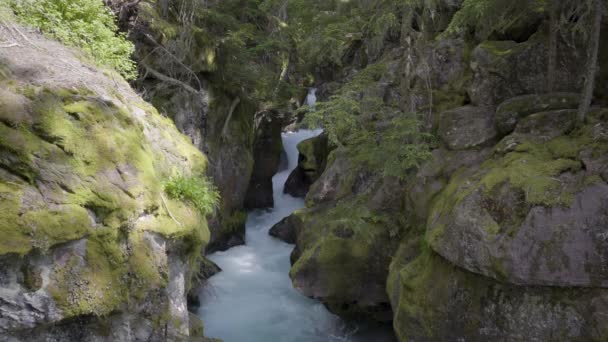 Río Glacial Parque Nacional Los Glaciares Situado Montana Estados Unidos — Vídeo de stock