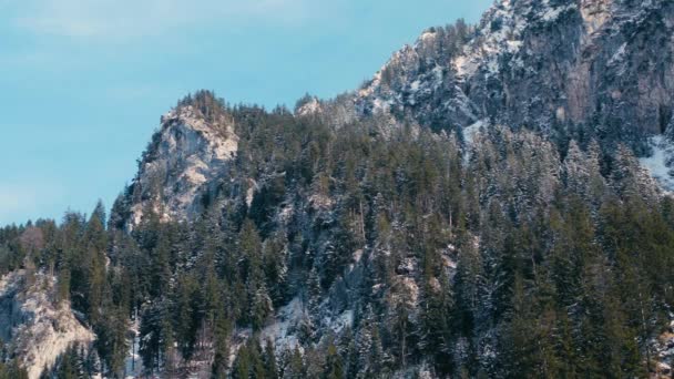 Slow Motion Clip Alps Mountain Large Presence Trees Rocks — Stock Video