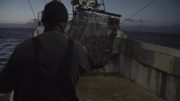 Fisher Man Brings Mussels Boat — Stock Video