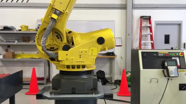 Ustawienie Magazynowe Bronią Robotów Przemysłowych Ładujących Palety Paszą Dla Zwierząt — Wideo stockowe