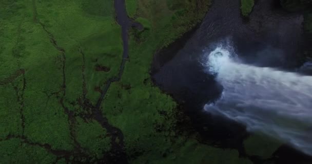 Відомий Ісландський Водоспад Seljalandsfoss Утворює Інший Кут Вгорі Вниз — стокове відео