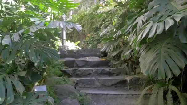 Lizbon Bir Bahçedeki Patikayı Yakınlaştır — Stok video
