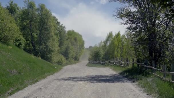 Plattelandsgrindweg Omgeven Door Groene Bomen Zomer — Stockvideo