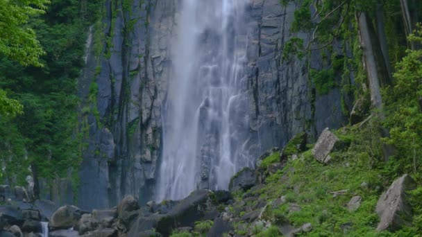 Nahaufnahme Eines Wasserfalls Wald — Stockvideo