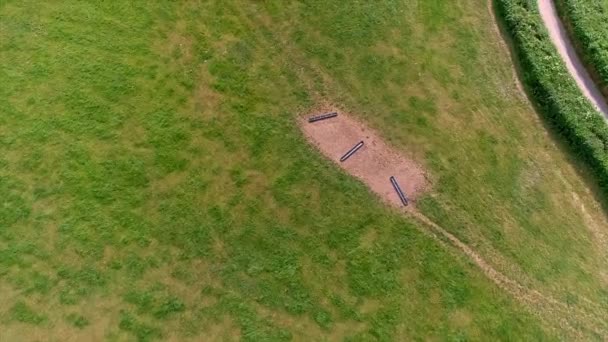 牛が視界に入ってくる英国の田舎のフィールド上の空中ショットトラッキング 東デヴォン — ストック動画