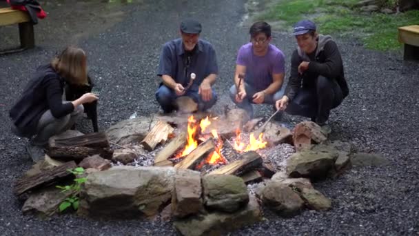 Familie Mit Hund Grillt Marshmallows Lagerfeuer — Stockvideo