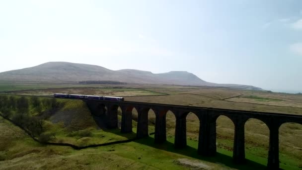 Aerial View Train Crossing Viaduct English Countrity — Αρχείο Βίντεο