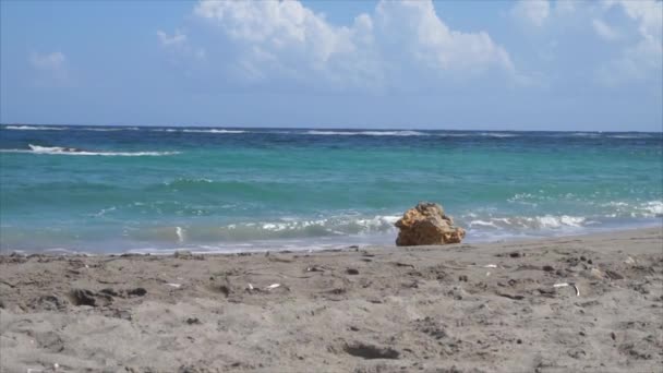 Небольшие Волны Пляже — стоковое видео