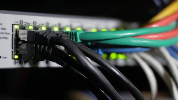 Cursore Server Con Lampeggiante Luci Verdi Connessione Molti Cavi Internet — Video Stock