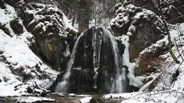 Uma Cachoeira Uma Floresta Nevada Com Neve Cobrindo Arredores — Vídeo de Stock