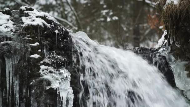 Ein Wasserfall Verschneiten Wald Mit Schneebedeckter Umgebung — Stockvideo