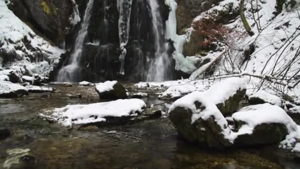 Een Waterval Een Besneeuwd Bos Met Besneeuwde Omgeving — Stockvideo