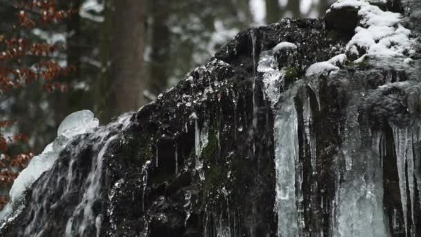 Vodopád Zasněženém Lese Sněhovou Pokrývkou — Stock video