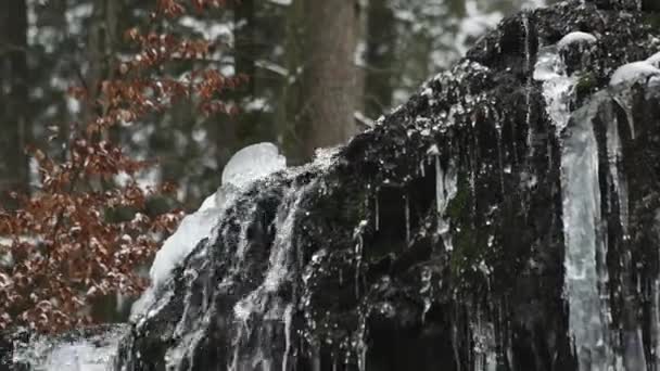 Водоспад Засніженому Лісі Сніговим Покриттям Навколишнього Середовища — стокове відео