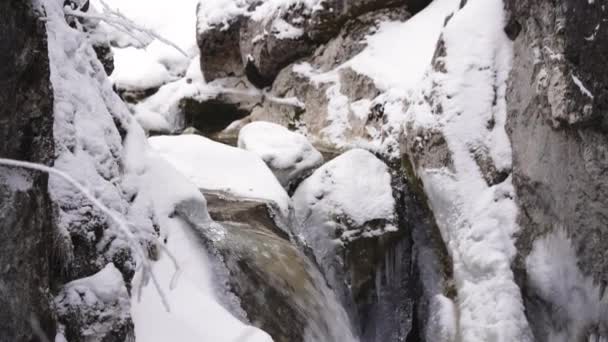 Wodospad Śnieżnym Lesie Pokrywającym Śnieg Otoczeniem — Wideo stockowe