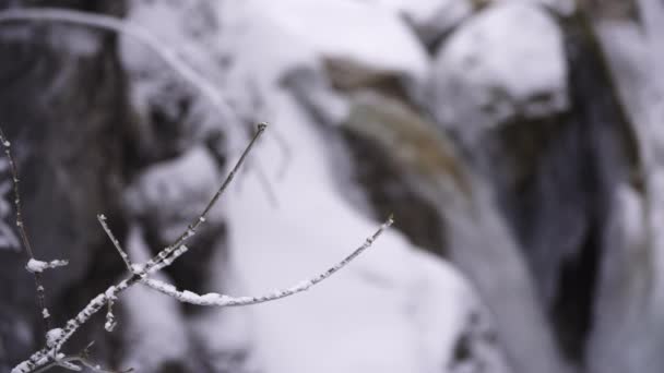 Ein Wasserfall Verschneiten Wald Mit Schneebedeckter Umgebung — Stockvideo