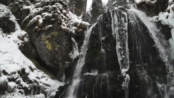 Ett Vattenfall Snöig Skog Med Snötäckta Omgivningar — Stockvideo